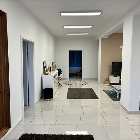 Stadtsuite Mit Sauna In Wiener Neustadt 135 M2 Экстерьер фото