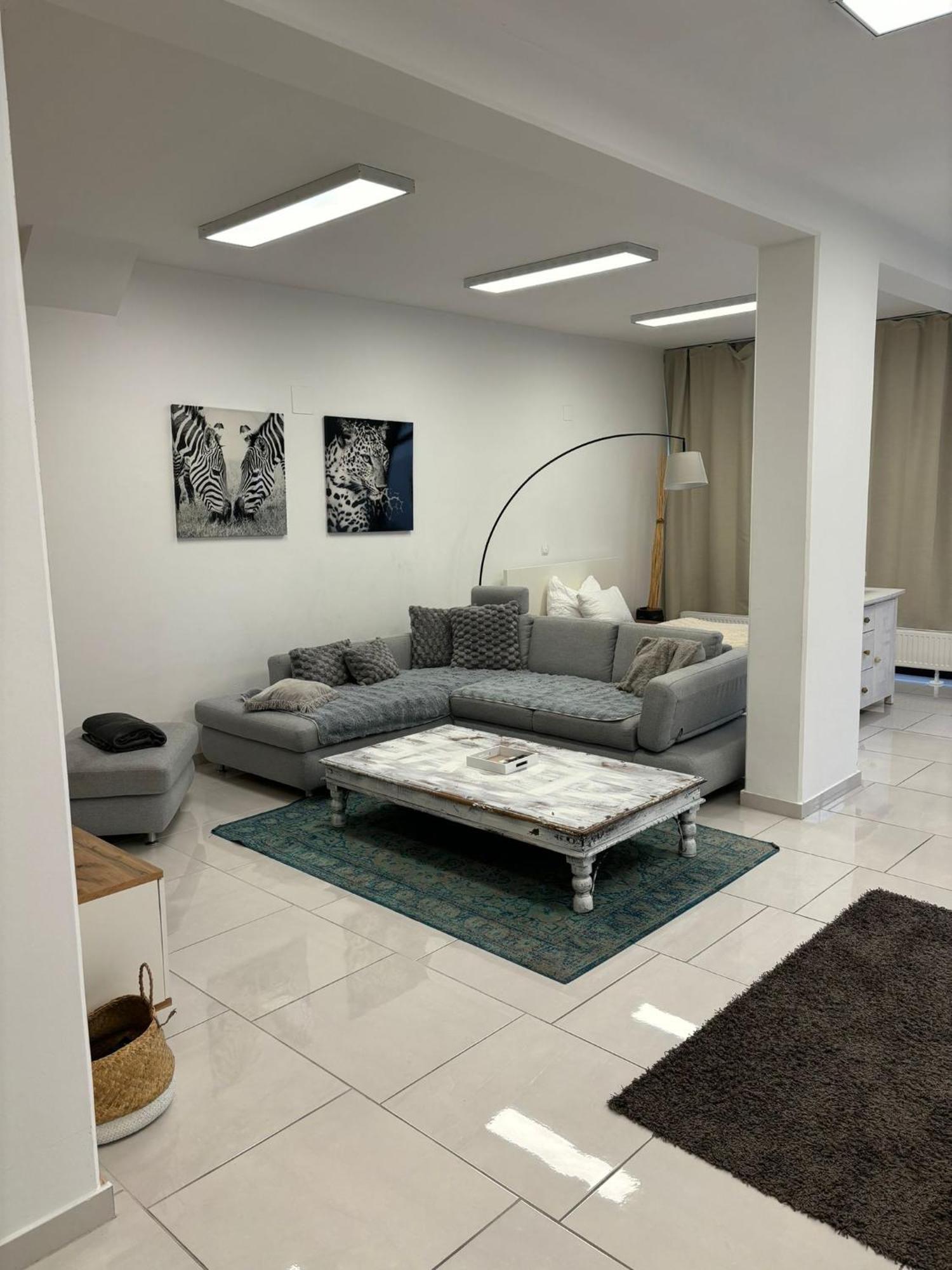 Stadtsuite Mit Sauna In Wiener Neustadt 135 M2 Экстерьер фото